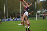 IMGP1684.JPG