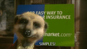 Simples-509286049.gif