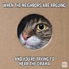 Hilarious-Cat-Spy.jpg