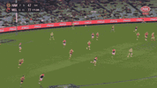 R9 v Hawks (1).gif