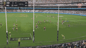 R9 v Hawks (3).gif
