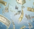 money flying gif2.gif