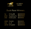All In Duck Race.png