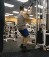 gym1b.gif