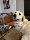 IMG_8637.jpeg