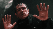 20230616_120059.gif