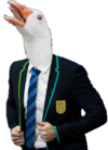 goose..almost.png
