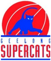 9167_geelong__supercats-primary-1989.png