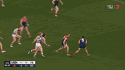 R15 v Geelong (2).gif