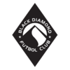 BlackDiamondFutbolClub_logo2015-2.png