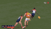 R19 v Crows (1).gif