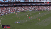 R19 v Crows (2).gif
