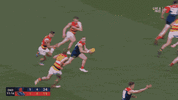 R19 v Crows (3).gif