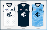 AFL BY NIKE CARLTON copy.png