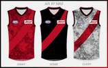 AFL BY NIKE ESSENDON copy.png