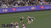 R20 v Tigers (1).gif
