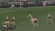 R20 v Tigers (3).gif