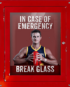 Emergency-Break-Glass.Crouch.png