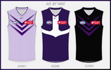 AFL BY NIKE FREMANTLE copy.png