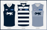 AFL BY NIKE GEELONG copy.png