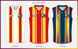 AFL BY NIKE GOLD COAST copy.png