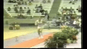 gymnastics-pommel-horse.gif