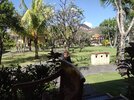 IMG_20230806_095840830.jpg