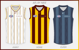 AFL BY NIKE HAWTHORN copy.png