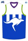 north 2024 SC jersey.jpg