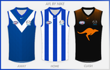 AFL BY NIKE NORTH MELBOURNE copy.png