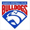 Kanvia logo.jpg