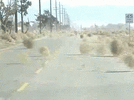 841E822A-6F7E-42C8-8162-4835F19FE176.gif