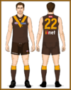 02-Hawthorn-Uniform-Jason-Home long ruck socks.png