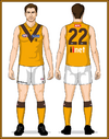 04-Hawthorn-Uniform-Jason-Clash with Gold collars Long Ruck Socks.png