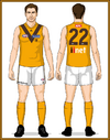 04-Hawthorn-Uniform-Jason-Clash with Gold collars and long Gold ruck socks.png