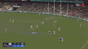 R22 v Carlton (1).gif