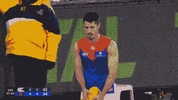 R22 v Carlton (2).gif