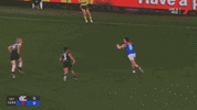 R22 v Carlton (3).gif