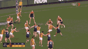 R23 v Hawks (1).gif