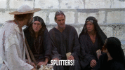 splitter - monty python.gif