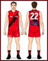 Essendon-Uniform2023INdigRedBack.png