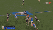 QF v Collingwood (2).gif