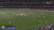 QF v Collingwood (3).gif
