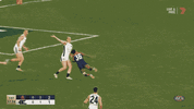 SF v Carlton (2).gif