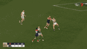 SF v Carlton (3).gif
