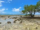 IMG_2993.jpeg