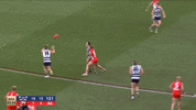 1695481839572.gif