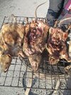 rats on a stick.jpg