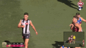 daicos_flop.gif