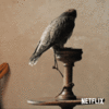 66C375EC-9FCC-41C0-BF50-68B3A58E4422.gif